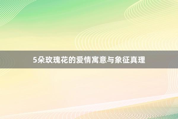 5朵玫瑰花的爱情寓意与象征真理
