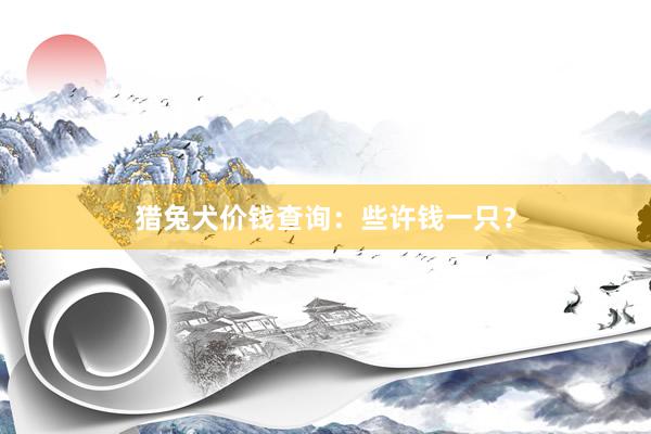 猎兔犬价钱查询:些许钱一只?