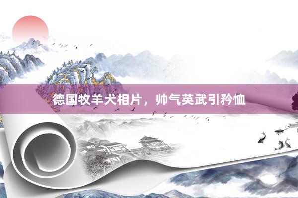 德国牧羊犬相片，帅气英武引矜恤