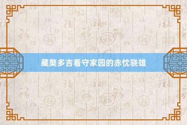 藏獒多吉看守家园的赤忱骁雄